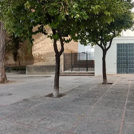 Appartement Casa Mnuela - Centro Jerez - Parking Opcional à Jerez de la Frontera Extérieur photo